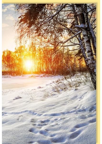 Fotokarte Winter Verschneiter Wald