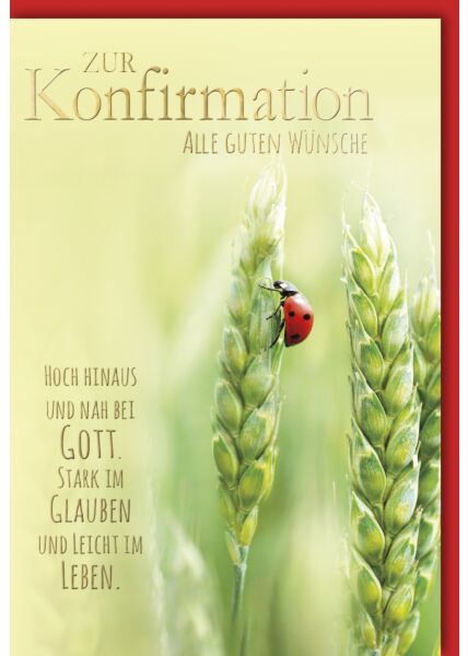 Glückwunschkarte Kommunionskarte Getreide Marienkäfer