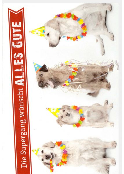 Geburtstagskarte mit Tieren Die Supergang wünscht alles Gute