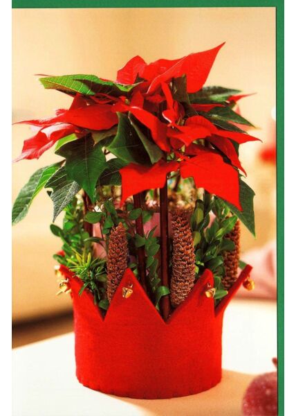 Weihnachtskarte Blankomotiv Blume Krone rot