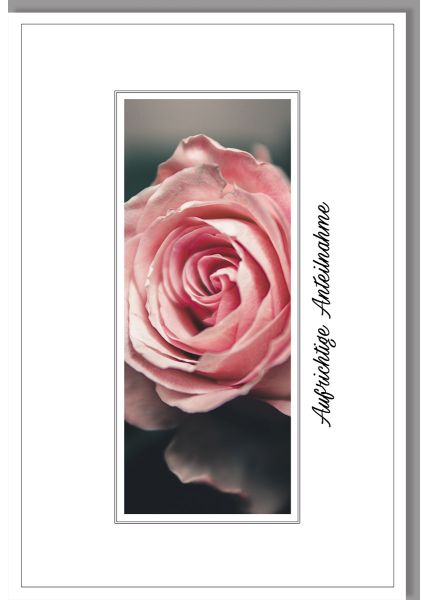 Trauerkarte mit gefühlvollem Motiv: Zarte Rose in Pastelltönen und "Aufrichtige Anteilnahme" Text, Veredelung durch geklebtes Stanzteil