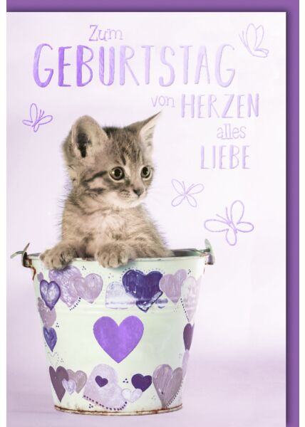 Geburtstagskarte Spruch Kätzchen im Eimer mit Herzen