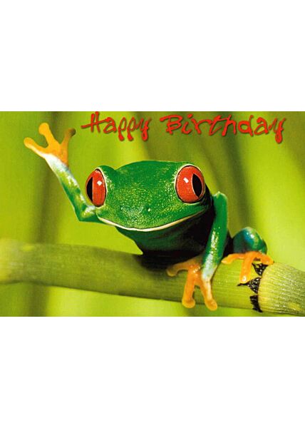 Geburtstagspostkarte: Frog-Happy Birthday!