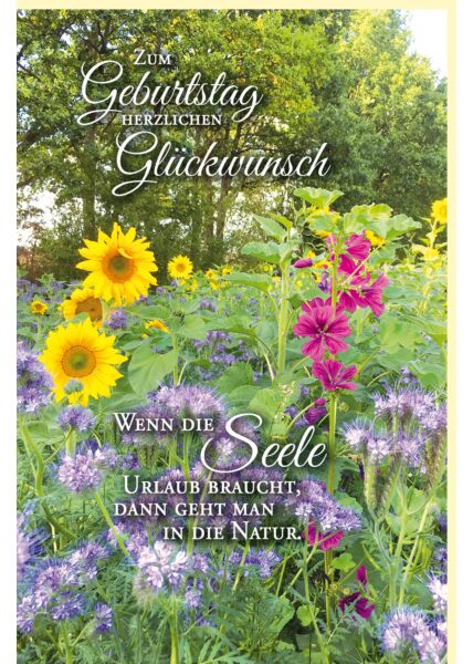 Geburtstagskarte Sommer auf dem Land Blumen Spruch Natur