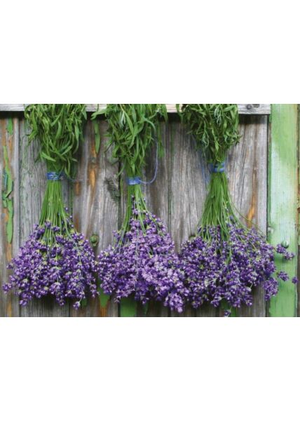 Postkarte Bunch of lavender