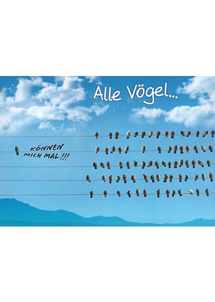 Postkarte witzig Spruch Alle Vögel?