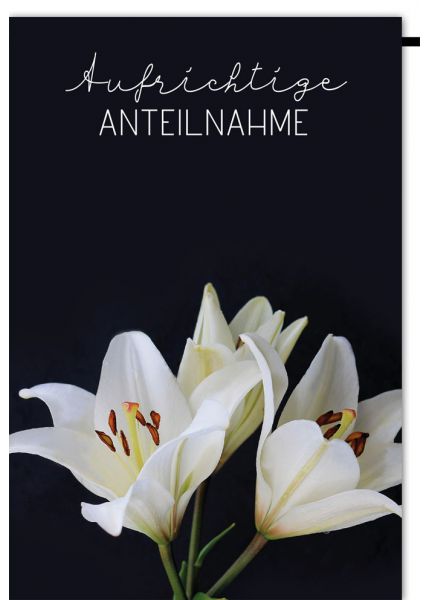 Trauerkarte mit zarter Lilien-Blüte: Aufrichtige Anteilnahme und stilvolles Beileid in schweren Zeiten