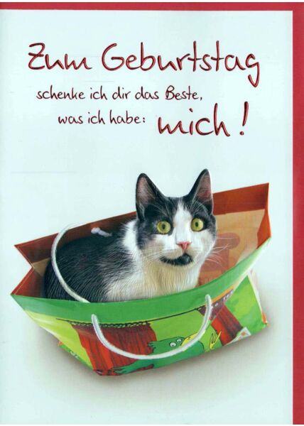 Geburtstagskarte Liebe lustig Katze