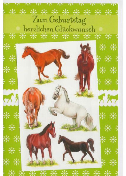 Geburtstagskarte für Pferdeliebhaber und Pferdefreunde