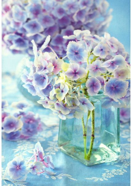 Schöne Blumen Postkarte Hortensie