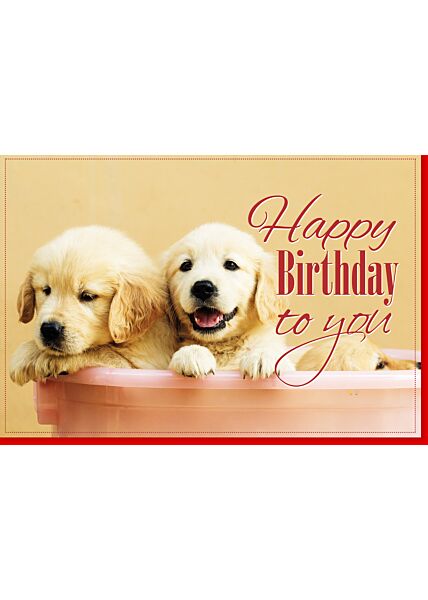 Glückwunschkarte Geburtstag Hundewelpen schauen aus einem Eimer