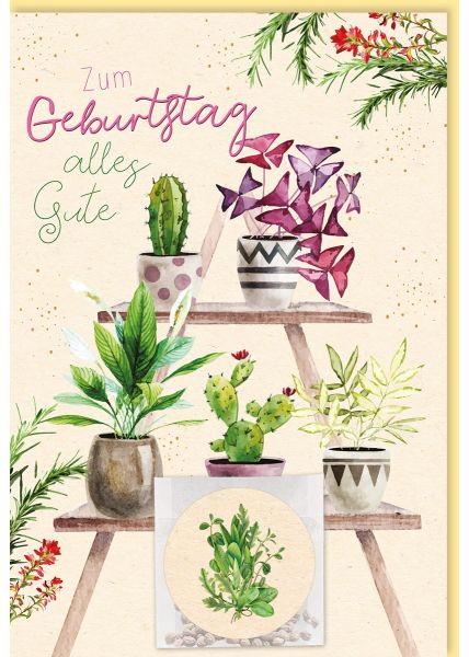 Geburtstagskarte mit Blumen und Sukkulenten auf Zuckerrohrpapier inklusive Samentütchen