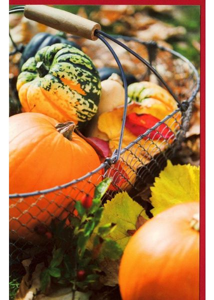 Grußkarte Kürbisse Motiv Herbst kein Text