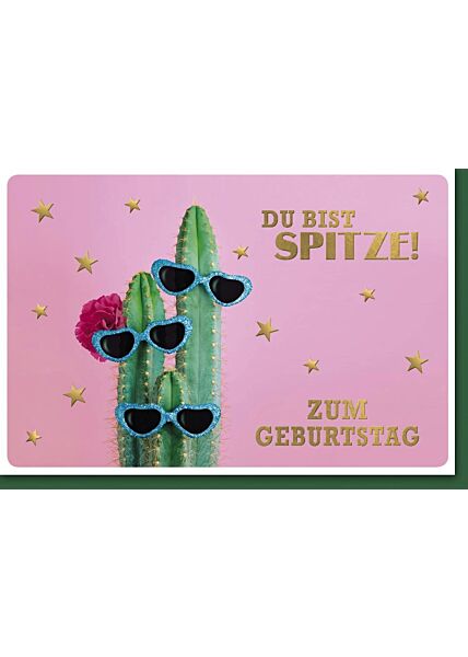 Geburtstagskarte Kaktus Sonnenbrille Du bist Spitze