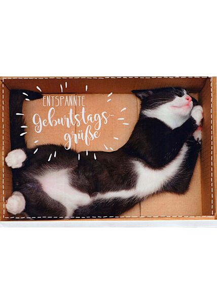 Geburtstagskarte Foto: Katze in Karton