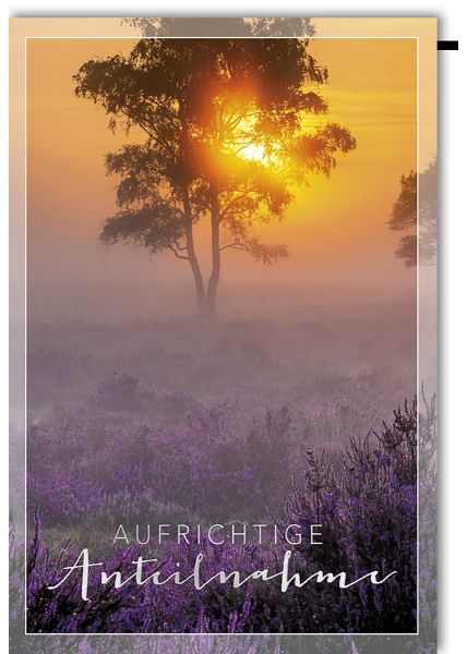 Trauerkarte - Sonnenuntergang hinter Baum und lila Blumenwiese - Folienprägung - Aufrichtige Anteilnahme