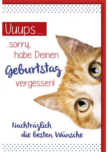 Geburtstagskarte - nachträglich, Katze "sorry"