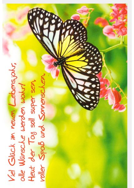 Geburtstagskarte Schmetterling Spruch Viel Glück im neuen Lebensjahr