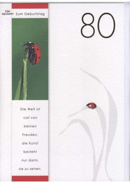 DIN A4 Maxikarte XXL große Geburtstagskarte 80 (Naturpapier + Goldfolie): Zum 80 Geburtstag