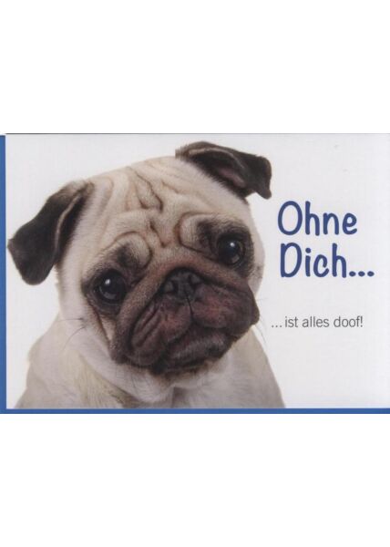 Grusskarte Liebeskummer, Hund, Tiermotiv: Ohne Dich ist alles doof!