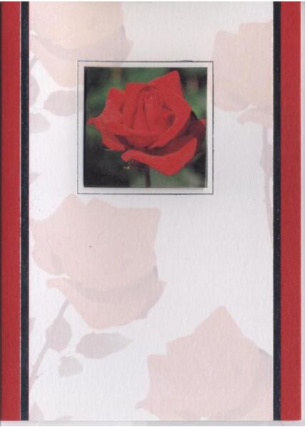 Grußkarte blanko: Rose 