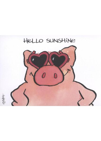 Jan Vis Cartoon Postkarte Liebe: Hello Sunshine