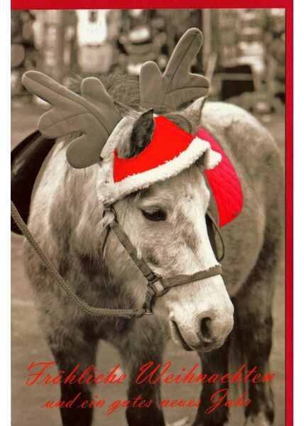 Weihnachtskarte Pferd Fröhliche Weihnachten