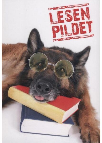 Postkarte Hund lustig: "Lesen Pildet"